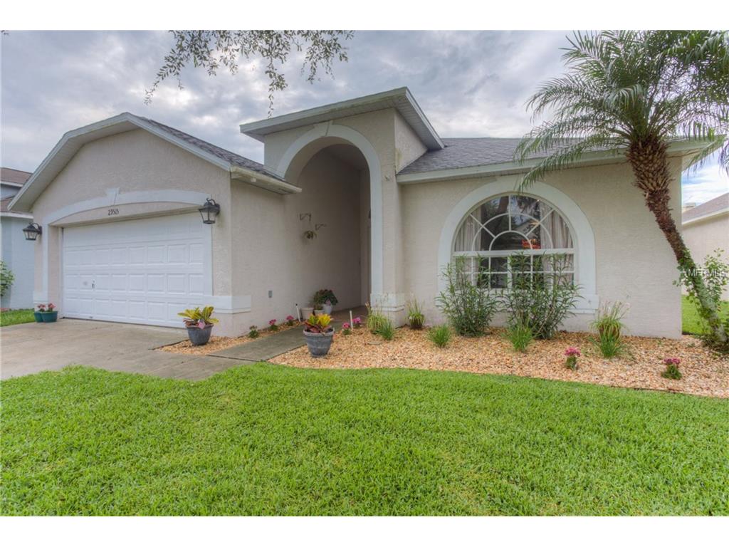 29515 Tansy Pass, Wesley Chapel, FL 33543 photo 1