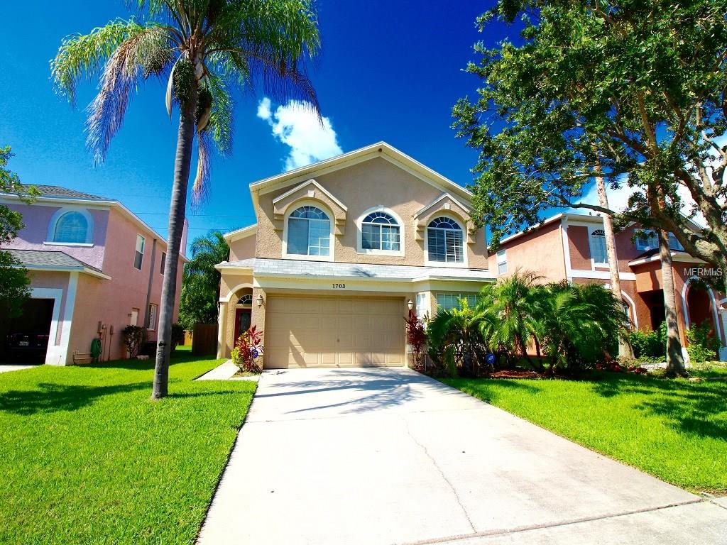1703 Split Fork Dr, Oldsmar, FL 34677 photo 1