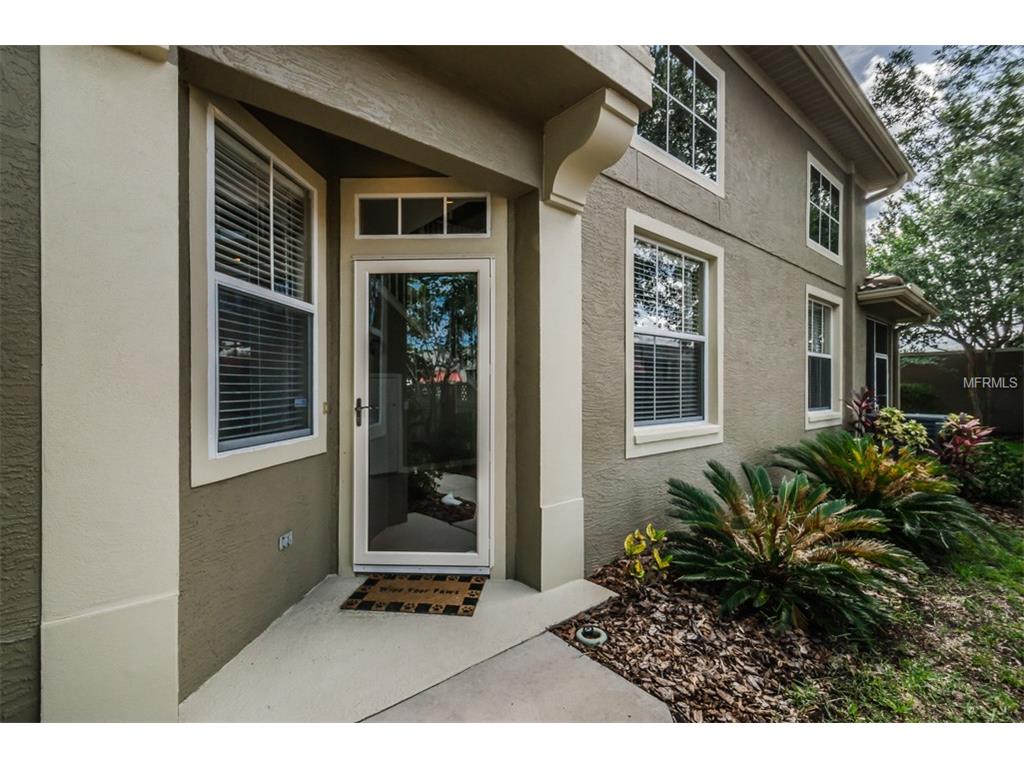 3291 Covered Bridge Dr E, Dunedin, FL 34698 photo 1