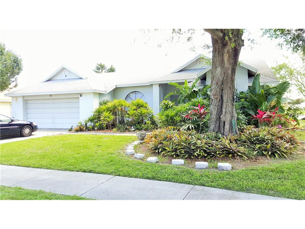 2017 Elk Spring Dr, Brandon, FL 33511 photo 1
