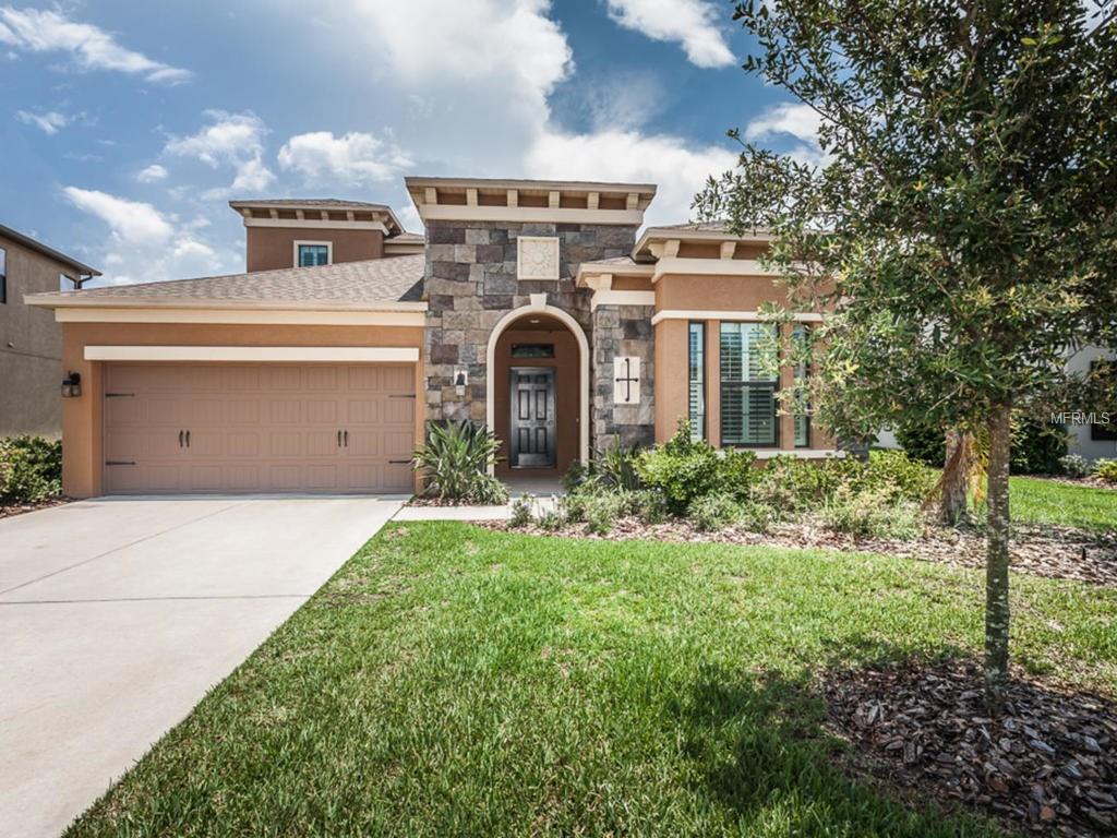 1336 Ketzal Dr, Trinity, FL 34655 photo 1