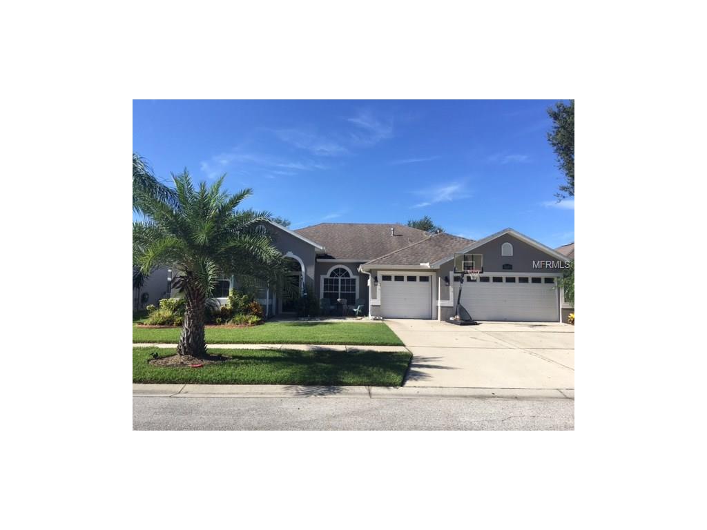 7220 Bucks Ford Dr, Riverview, FL 33578 photo 1