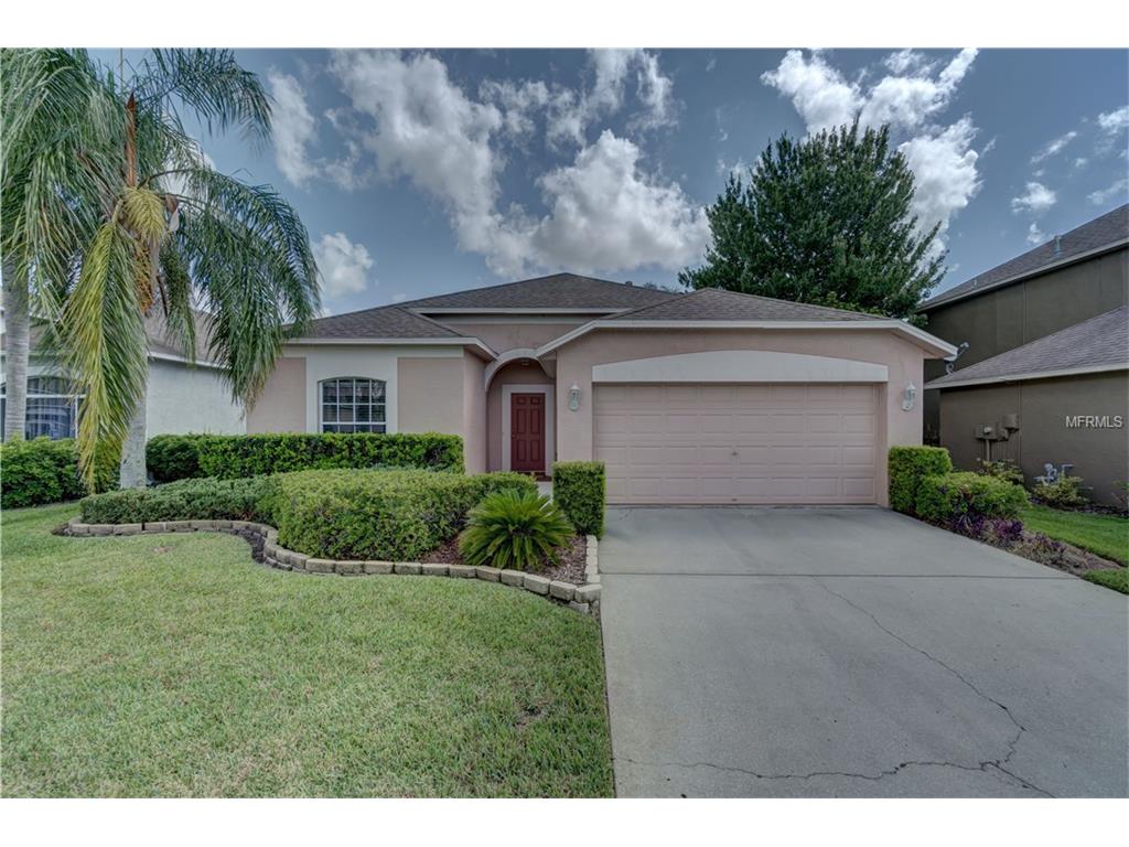 1906 Terralyn Ln, Trinity, FL 34655 photo 1