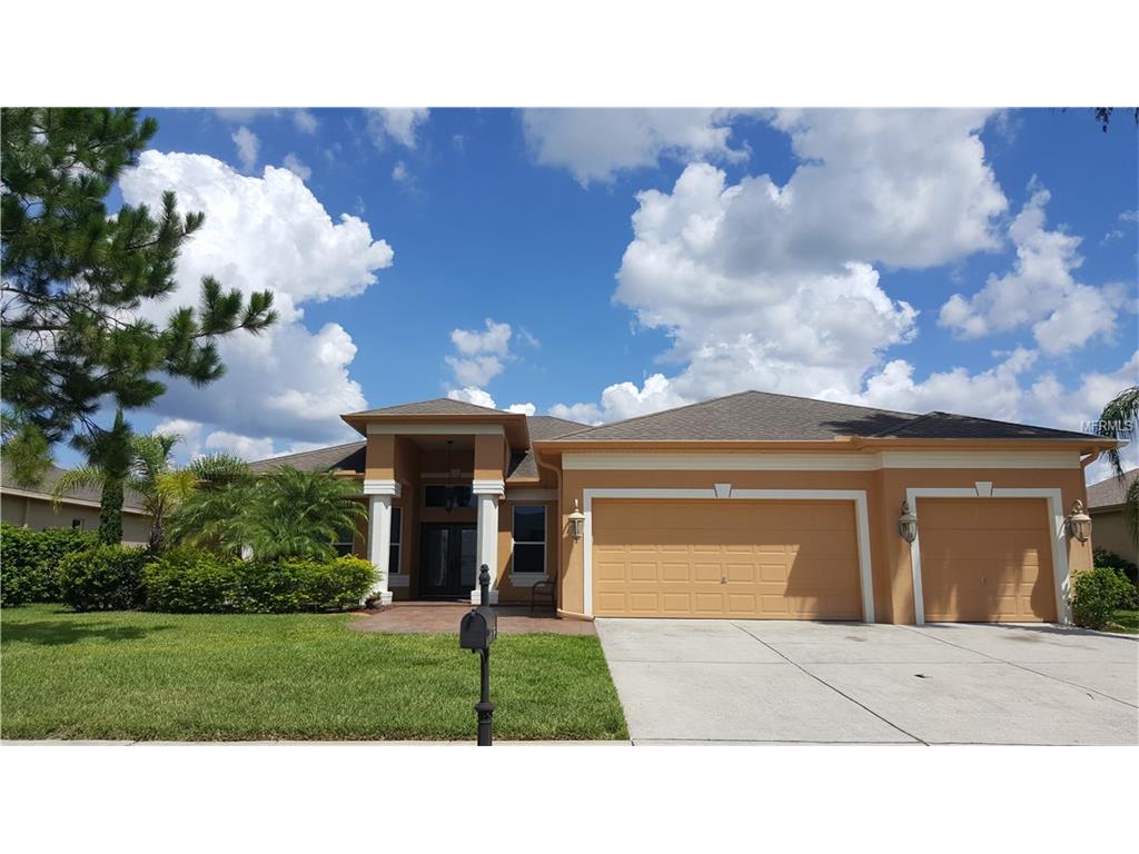 2343 Edelweiss Loop, Trinity, FL 34655 photo 1