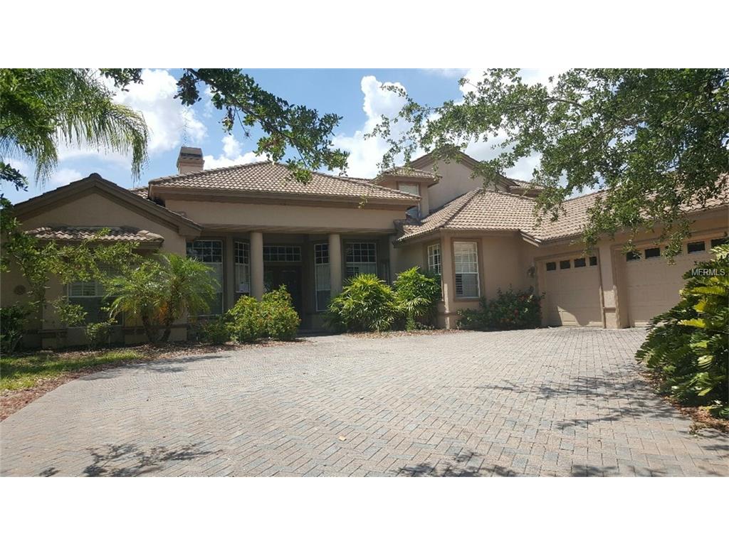 10514 Pontofino Cir, Trinity, FL 34655 photo 1