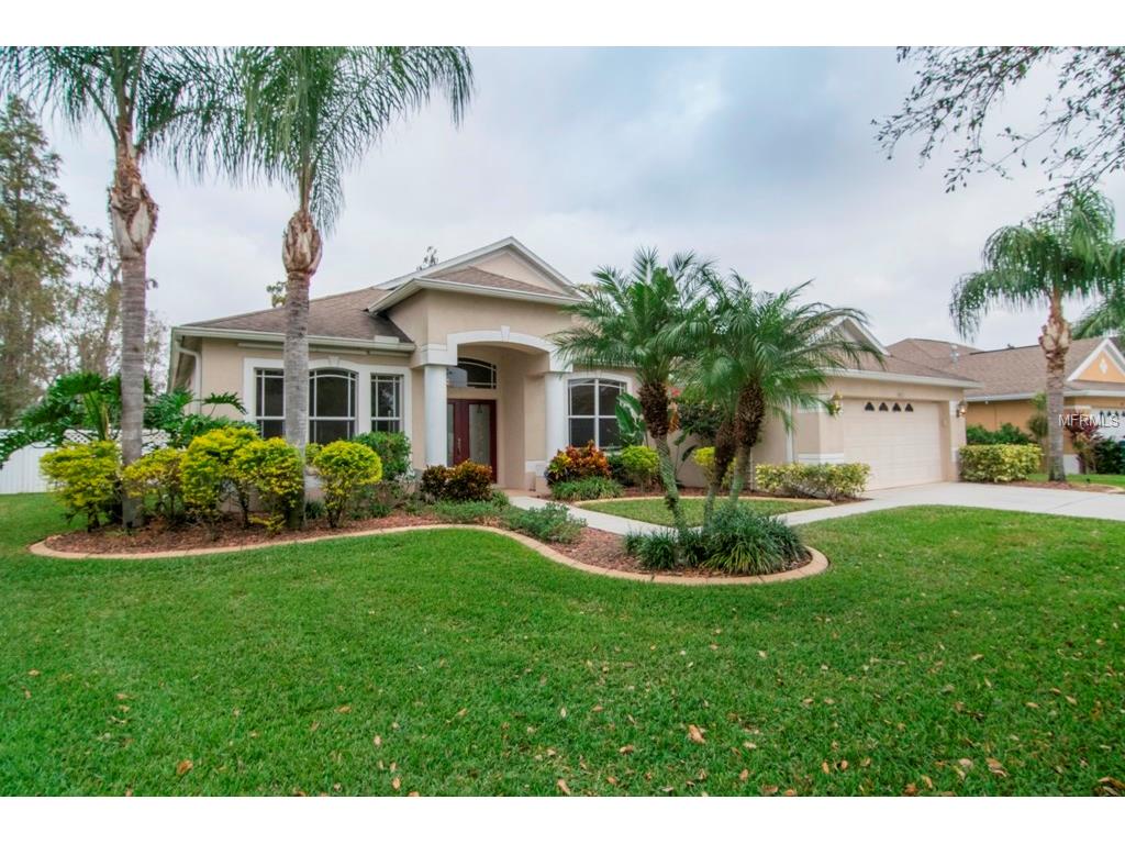 1611 Stipule Ct, Trinity, FL 34655 photo 1