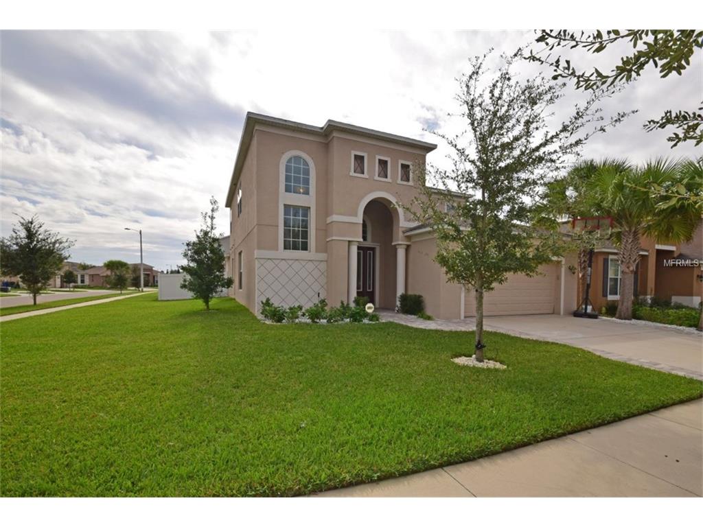 8814 Deep Maple, Riverview, FL 33578 photo 1