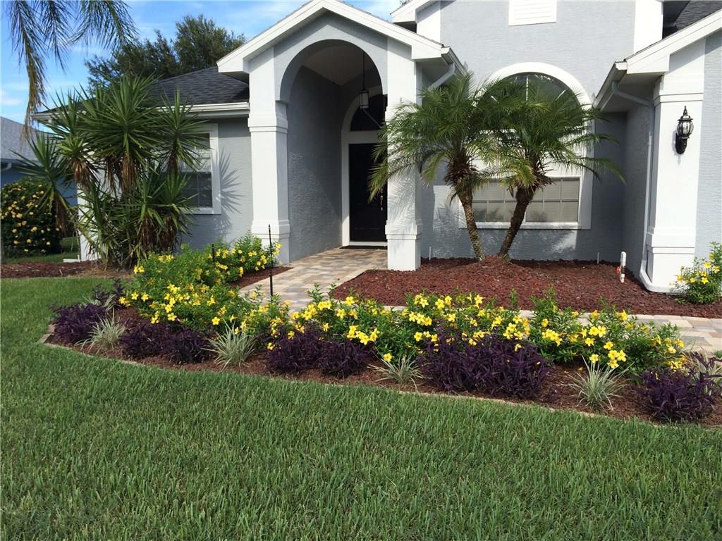 1406 Jutland Dr, Trinity, FL 34655 photo 1