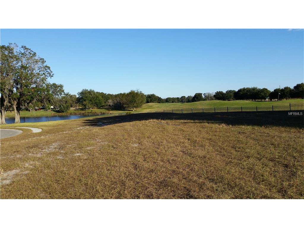 10150 Milano Dr, Trinity, FL 34655 photo 1