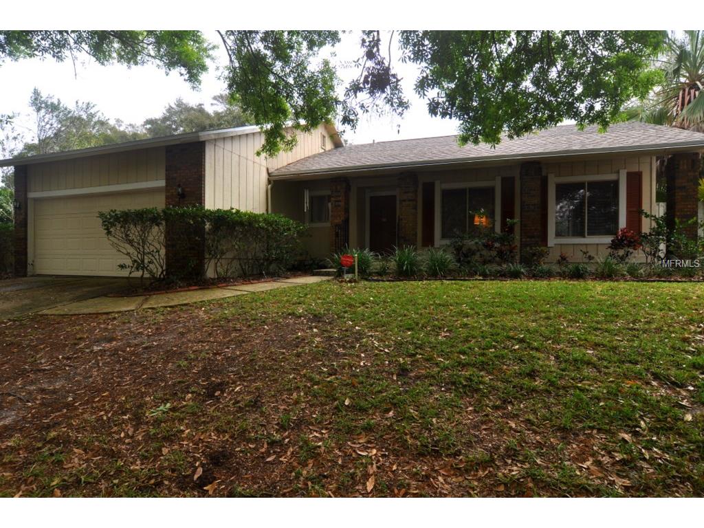 2465 Rolling View Dr, Dunedin, FL 34698 photo 1