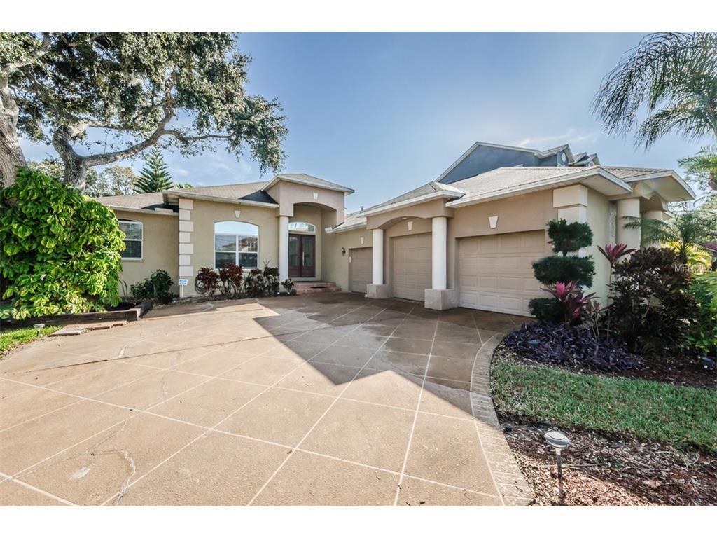 717 Shore Dr E, Oldsmar, FL 34677 photo 1