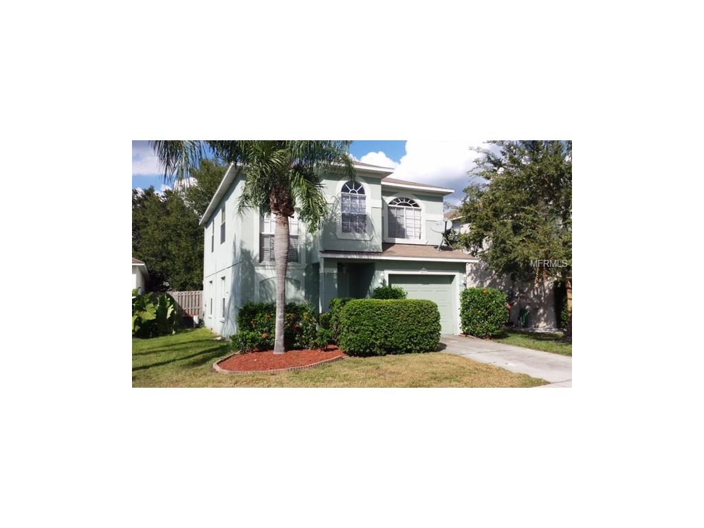 10812 Wrigley Ct, Riverview, FL 33579 photo 1