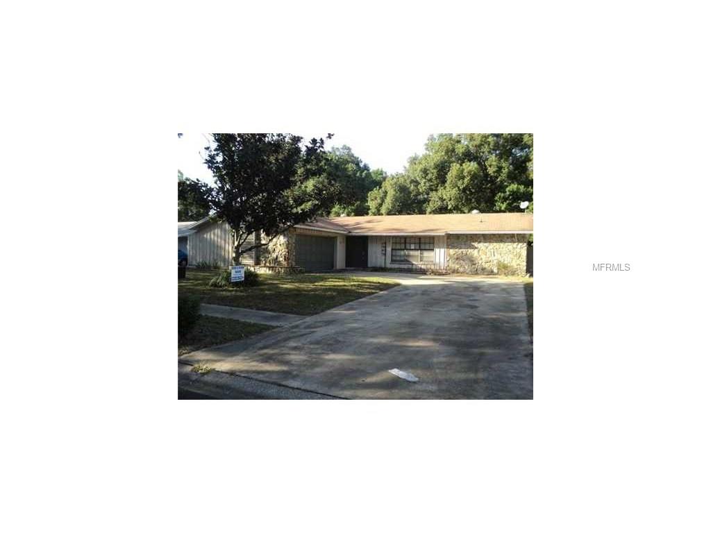 17620 Meadowbridge Dr, Lutz, FL 33549 photo 1