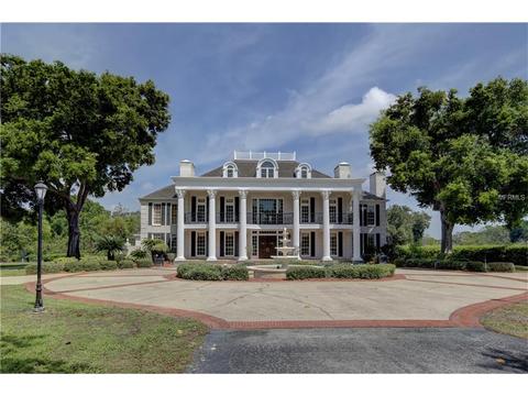 17877 Wayne Rd, Odessa, FL 33556 photo 1