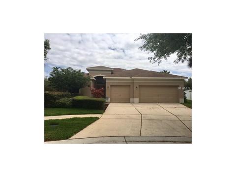11119 Holly Cone Dr, Riverview, FL 33569 photo 1