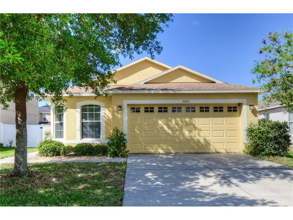 7223 Forest Mere Dr, Riverview, FL 33578 photo 1