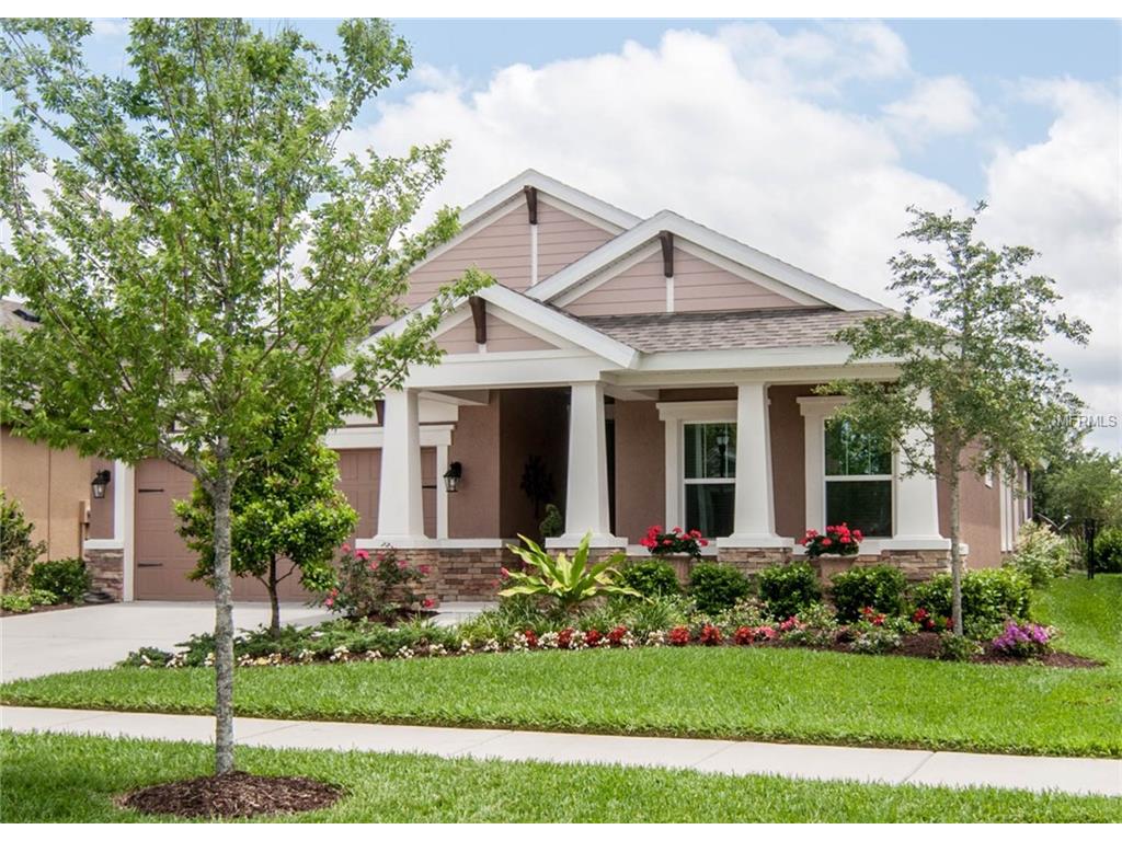 6915 Makers Way, Apollo Beach, FL 33572 photo 1