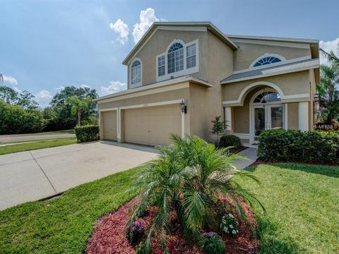 1795 Split Fork Dr, Oldsmar, FL 34677 photo 1