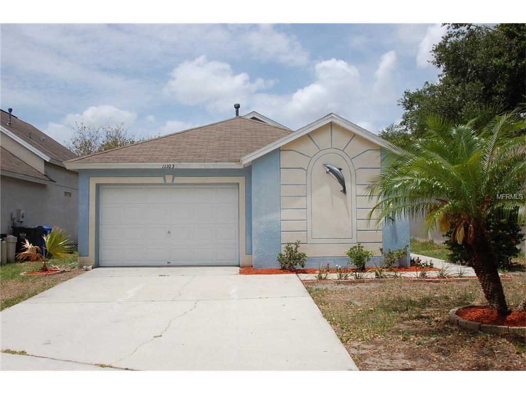 11103 Robin Lake Ct, Riverview, FL 33569 photo 1
