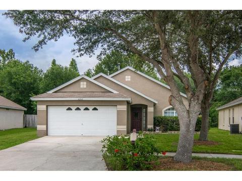 6242 Crickethollow Dr, Riverview, FL 33578 photo 1