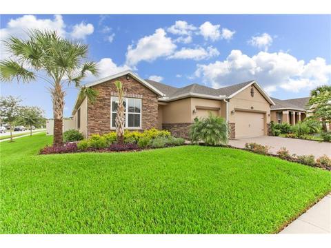 1971 Fox Grape Loop, Lutz, FL 33558 photo 1