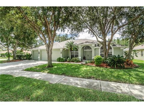 8152 Tantallon Way, Trinity, FL 34655 photo 1