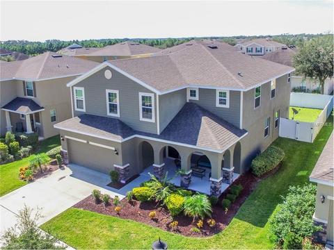 11629 Balintore Dr, Riverview, FL 33579 photo 1