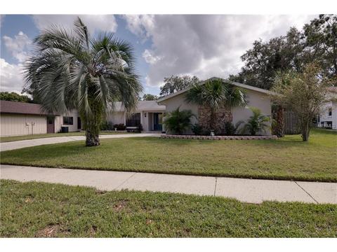 2830 Paddock Dr, Palm Harbor, FL 34684 photo 1
