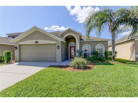 1753 Lady Palm Ct, Trinity, FL 34655 photo 1