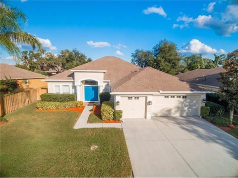 1530 Stipule Ct, Trinity, FL 34655 photo 1