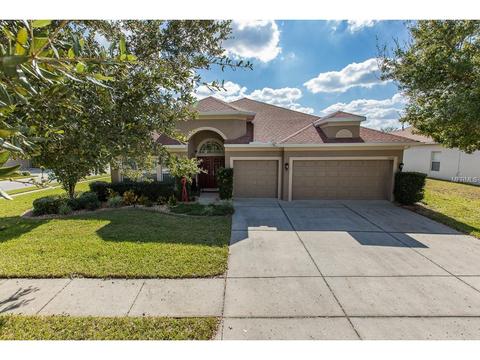 16842 Midsummer Ln, Spring Hill, FL 34610 photo 1