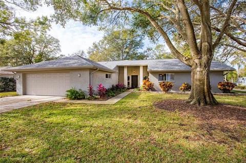 3150 Timberview Dr, Dunedin, FL 34698 photo 1