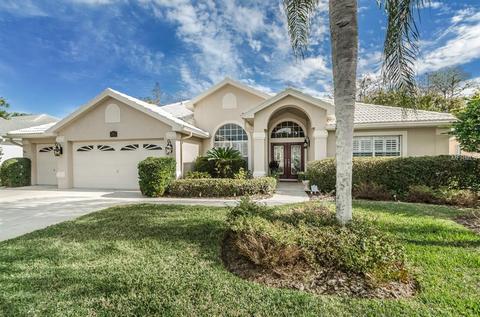 1234 Arlinbrook Dr, Trinity, FL 34655 photo 1