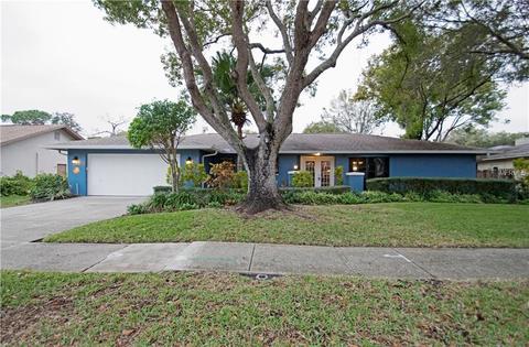 3134 Timberview Dr, Dunedin, FL 34698 photo 1