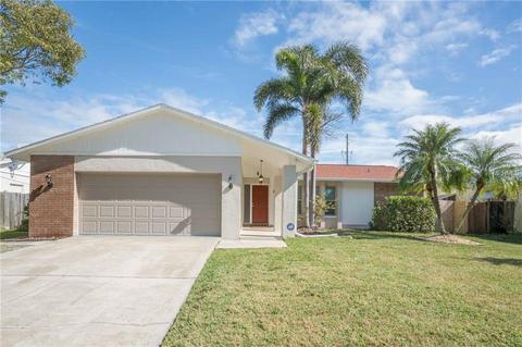 1255 E Dinnerbell Ln, Dunedin, FL 34698 photo 1