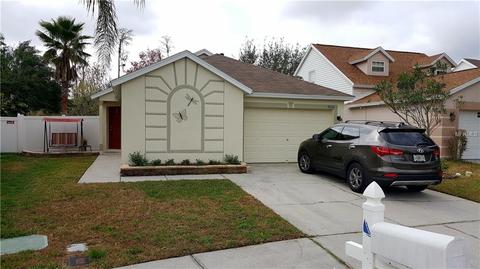 8636 Hawbuck St, Trinity, FL 34655 photo 1