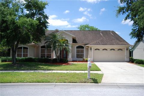 28355 Openfield Loop, Wesley Chapel, FL 33543 photo 1