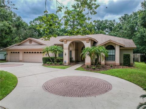 25 Deerpath Dr, Oldsmar, FL 34677 photo 1