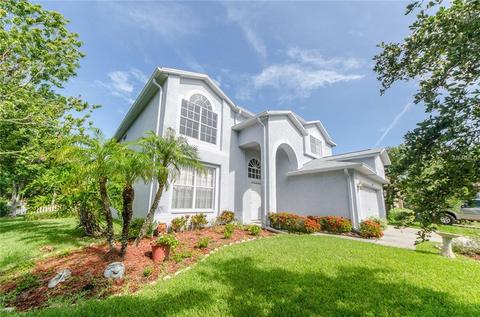 1730 Mapleleaf Blvd, Oldsmar, FL 34677 photo 1