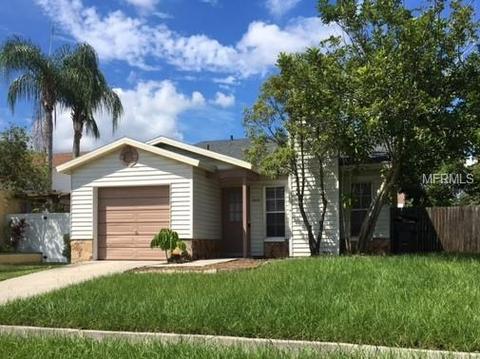 11113 Cherrywood Ln, Riverview, FL 33579 photo 1