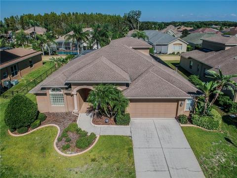 2132 Flameflower Ct, Trinity, FL 34655 photo 1