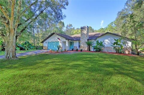 17801 Deerfield Dr, Lutz, FL 33558 photo 1