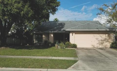 11504 Smokethorn Dr, Riverview, FL 33579 photo 1