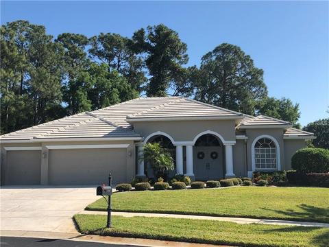 1009 Hagen Dr, Trinity, FL 34655 photo 1