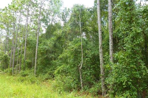 8260 Cashew Dr, Webster, FL 33597 photo 1