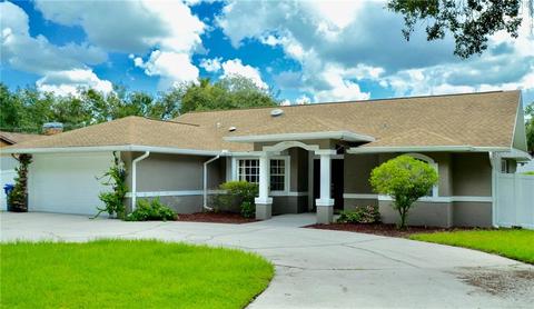 10911 Riverview Dr, Riverview, FL 33578 photo 1