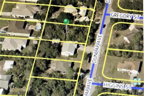 1043 Dunlap Ave, Spring Hill, FL 34609 photo 1