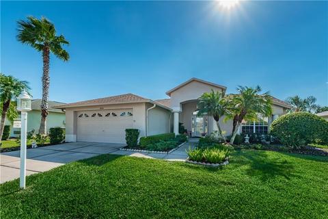 11830 Washburn Pl, Trinity, FL 34655 photo 1