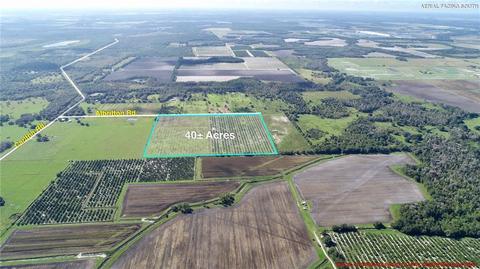 40150 Albritton Rd, Parrish, FL 34219 photo 1