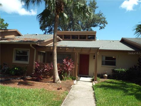 20 Aster Pl, Oldsmar, FL 34677 photo 1